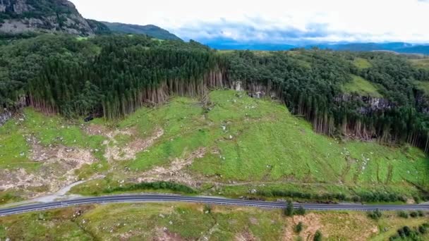 Déforestation en Norvège Sky — Video