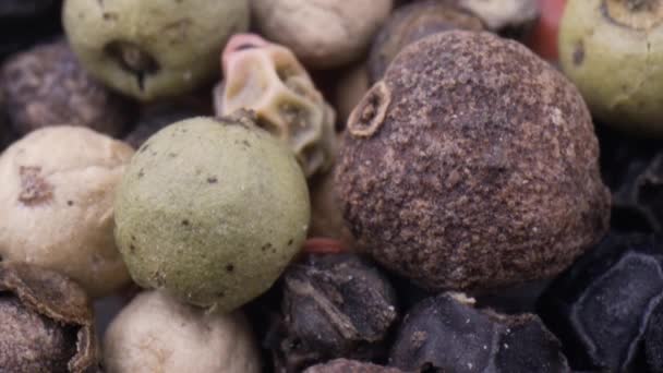 매크로 클로즈업 믹스 페퍼콘. 말린 후추 열매를 가까이 서 섞는다 — 비디오
