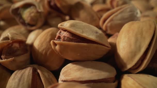 Dekat kacang pistachio. Pistachio adalah anggota keluarga jambu mete, sebuah pohon kecil yang berasal dari Asia Tengah dan Timur Tengah — Stok Video