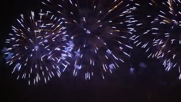 밤하늘에서 화려 한 폭죽이 터지고. 밝은 색깔의 축하 행사와 행사. — 비디오