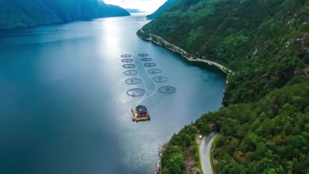 Imágenes aéreas Granja de pesca de salmón en Noruega — Vídeo de stock