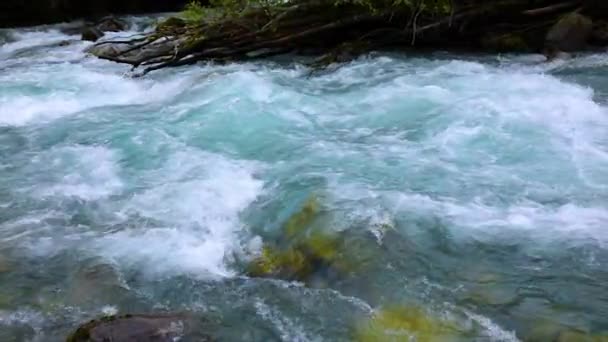 Eau de rivière de montagne au ralenti gros plan — Video