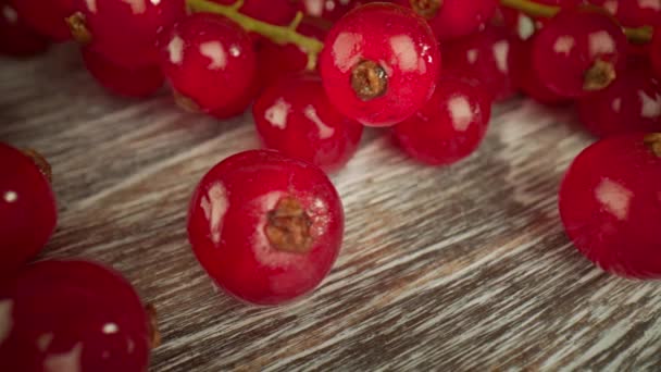 Ahşap bir masada kırmızı frenk üzümünün süper yakın makrosu. — Stok video