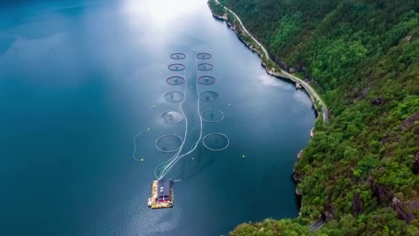 Imágenes aéreas Granja de pesca de salmón en Noruega — Vídeos de Stock