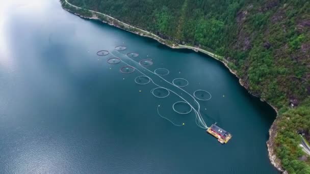 Imágenes aéreas Granja de pesca de salmón en Noruega — Vídeos de Stock