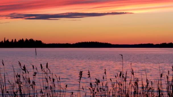Puesta de sol carmesí en el fondo del Golfo de Botnia Finlandia — Vídeos de Stock