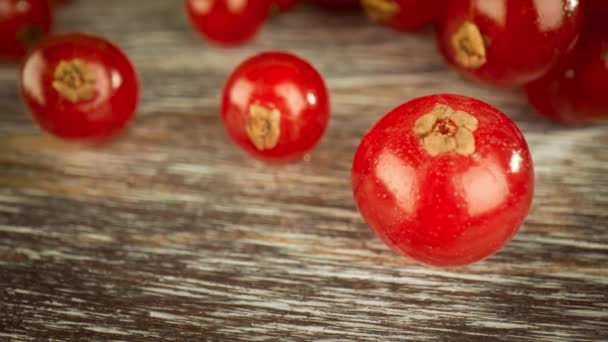 Super close macro of a redcurrants on a wooden table. — Stock Video