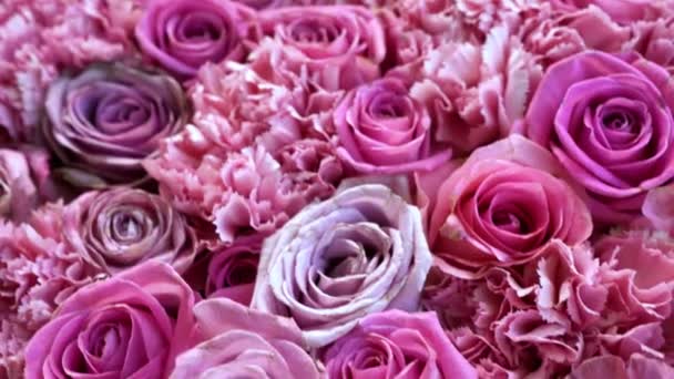Фон натуральных роз крупным планом — стоковое видео