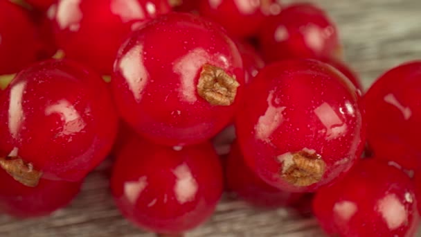 Ahşap bir masada kırmızı frenk üzümünün süper yakın makrosu. — Stok video