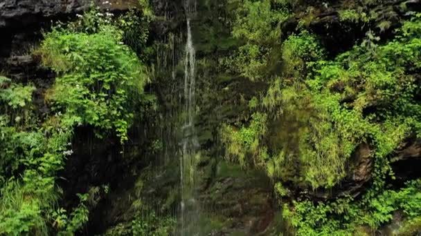 Clean Small Waterfall in the Forest (em inglês). Bela natureza Noruega Paisagem Natural . — Vídeo de Stock