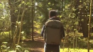 Yürüyüş yapan kadın, bahar yeşili ormanda yürüyüş yapan bir sırt çantasıyla yürüyor.