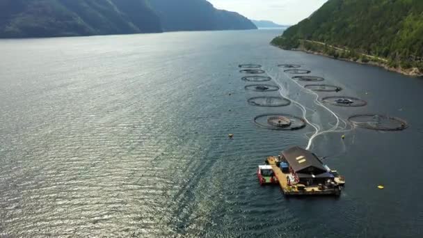 Imágenes aéreas Granja de pesca de salmón en Noruega — Vídeo de stock