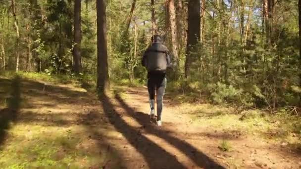 Escursione donna passeggiata con uno zaino da trekking nella foresta verde primaverile — Video Stock