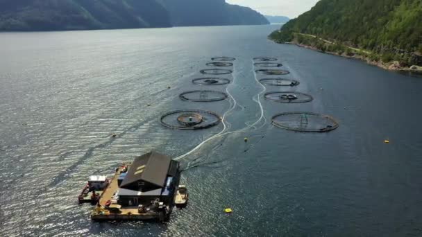 Imagens aéreas Fazenda pesca de salmão na Noruega — Vídeo de Stock