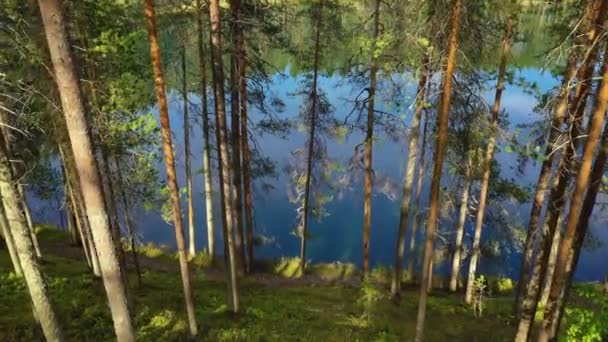 Vue Aérienne du Lac et de la Forêt en Finlande. Belle nature de la Finlande . — Video