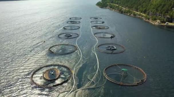 Imagens aéreas Fazenda pesca de salmão na Noruega — Vídeo de Stock