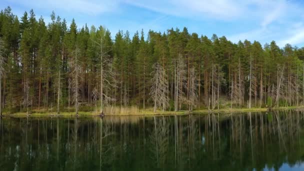 Luchtfoto van het meer en het bos in Finland. Prachtige natuur van Finland. — Stockvideo