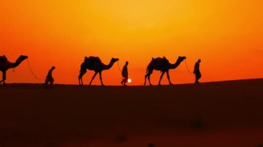 Cameleers, deve sürücüleri gün batımında. Günbatımında çöl Jaisalmer, Rajasthan, Hindistan.