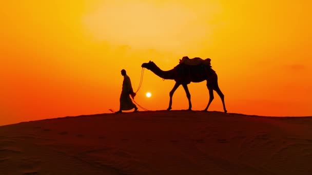 Cameleers, deve sürücüleri gün batımında. Günbatımında çöl Jaisalmer, Rajasthan, Hindistan. — Stok video