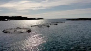 Norveç 'te somon balıkçılığının hava görüntüleri