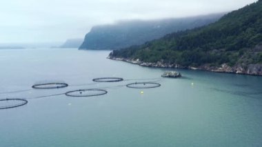 Norveç 'te somon balıkçılığının hava görüntüleri