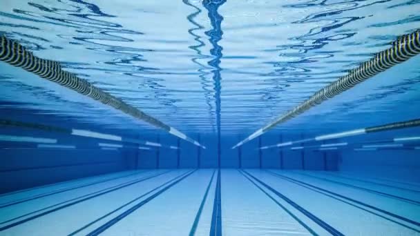 Olympic Swimming pool under water background. — Stock Video