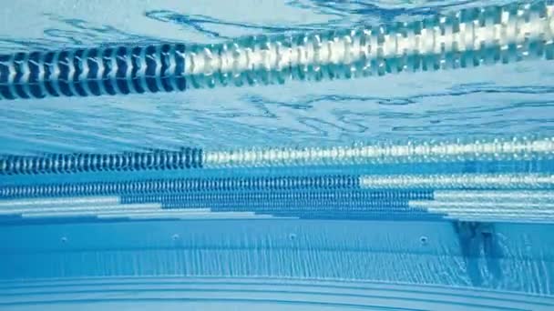 Olympisch zwembad onder water achtergrond. — Stockvideo