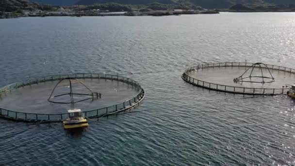 Imagens aéreas Fazenda pesca de salmão na Noruega — Vídeo de Stock
