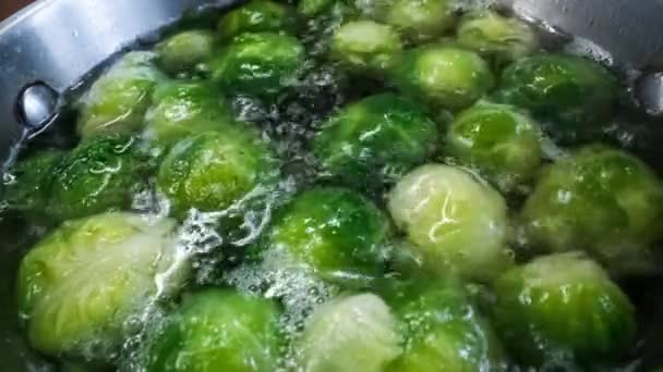 Choux de Bruxelles verts frais Gros plan . — Video