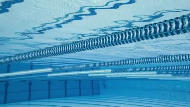 Piscina olimpionica sotto lo sfondo dell'acqua . — Video Stock