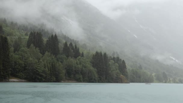 Regen über Wald Schöne Natur Norwegen — Stockvideo