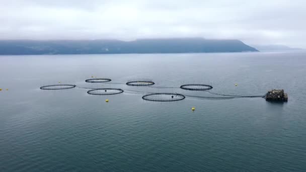 Luchtfoto 's Boerderij zalmvisserij in Noorwegen — Stockvideo