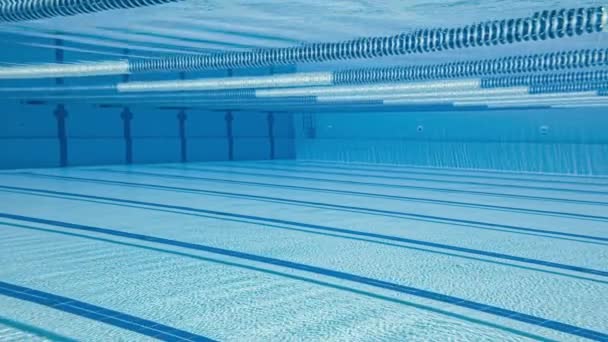 Olympisch zwembad onder water achtergrond. — Stockvideo