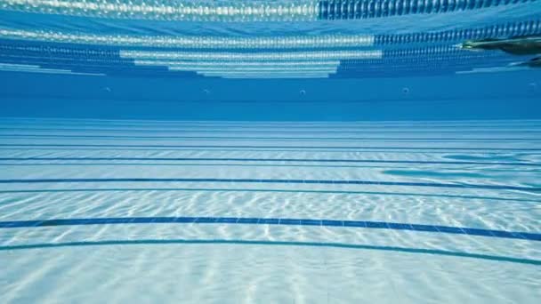 물 배경에서 올림픽 수영장. — 비디오