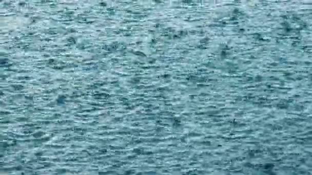 Abstrakter Hintergrund, Regentropfen auf dem Wasser — Stockvideo