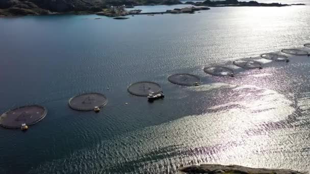 Aerial footage Farm salmon fishing in Norway — Stock Video