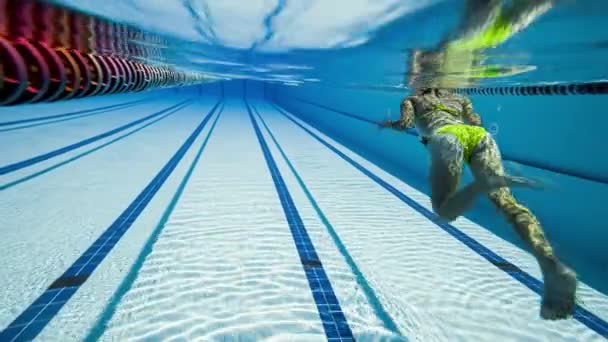 Olimpik yüzme havuzu manzaralı havuzda suyun altında yüzen bir kadın. — Stok video