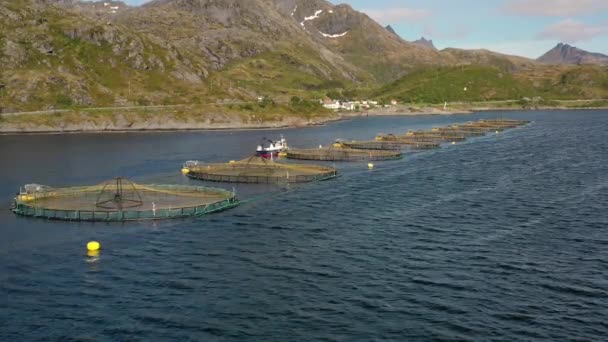 Luchtfoto 's Boerderij zalmvisserij in Noorwegen — Stockvideo