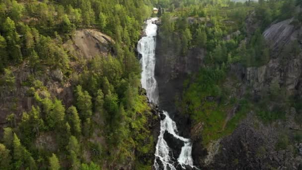 Латефоссен является одним из самых посещаемых водопадов в Норвегии и расположен недалеко от Skare и Odda в регионе Хордаланд, Норвегия. Состоит из двух отдельных ручьев, стекающих с озера Лотеватнет. — стоковое видео