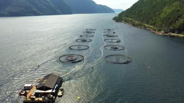 Imagens aéreas Fazenda pesca de salmão na Noruega — Vídeo de Stock