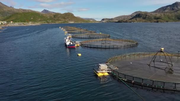 Flygbilder Laxfiske i Norge — Stockvideo