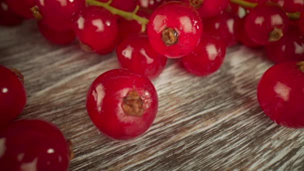 Macro super vicino di un ribes rosso su un tavolo di legno . — Video Stock