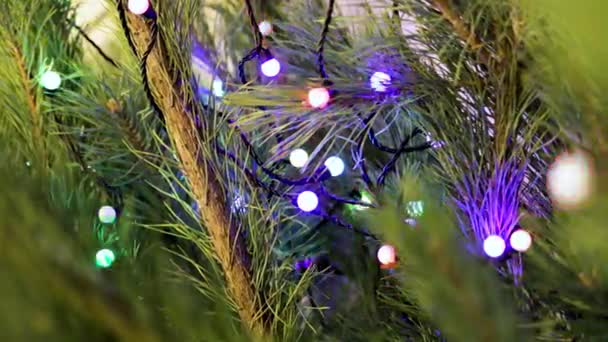 Guirnalda de árbol de Navidad decoración del primer plano del árbol de Navidad — Vídeo de stock