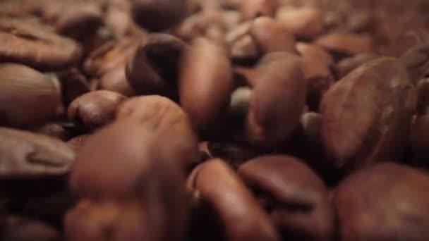 Kaffeebohnen fallen aus nächster Nähe — Stockvideo