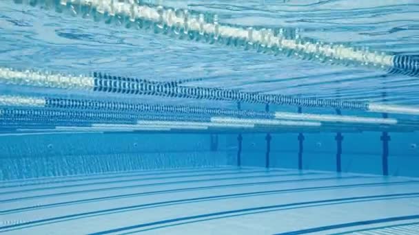 Olympisch zwembad onder water achtergrond. — Stockvideo