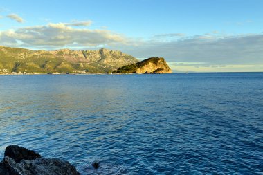 Budva defne, Karadağ