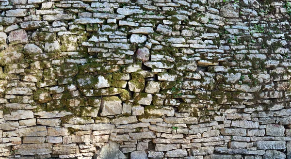 Mur en pierre de mousse — Photo