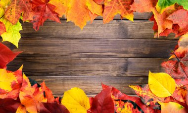 sonbahar yaprakları çerçeve