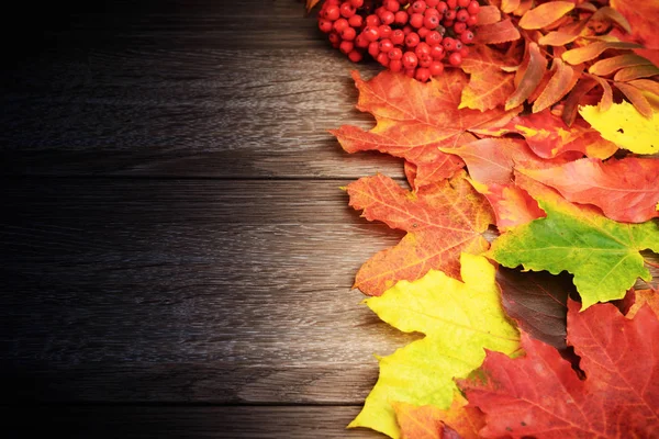 Jesienią liście na podłoże drewniane — Zdjęcie stockowe