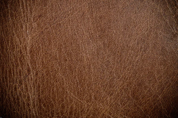 Brown leather texture — Stock Photo, Image